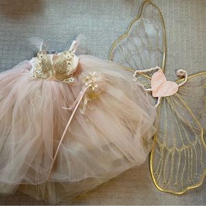 Pottery Barn Kids Butterfly Fairy Costume Sz 4-6